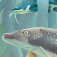 Natura